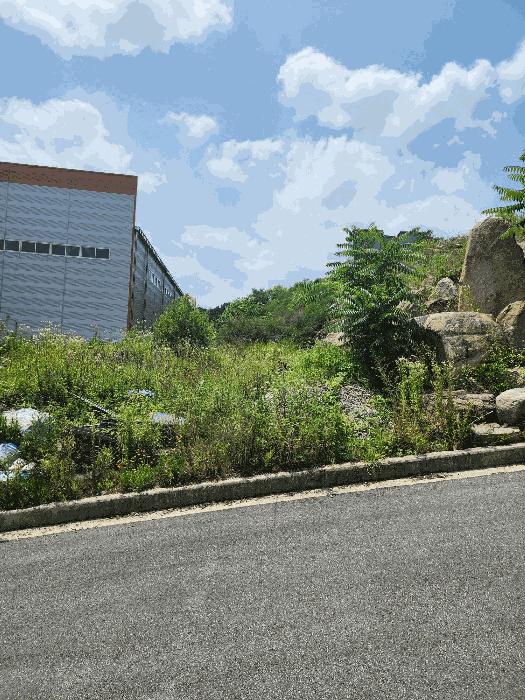 2024타경33029 법원경매 사진4 | 충북 음성군 임야 경매