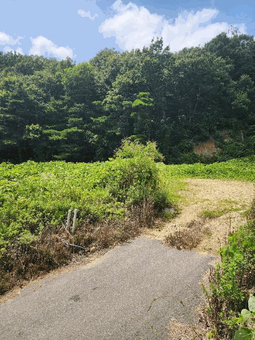 충청북도 음성군 감곡면 상우리 산28-54 법원경매 물건 대표사진