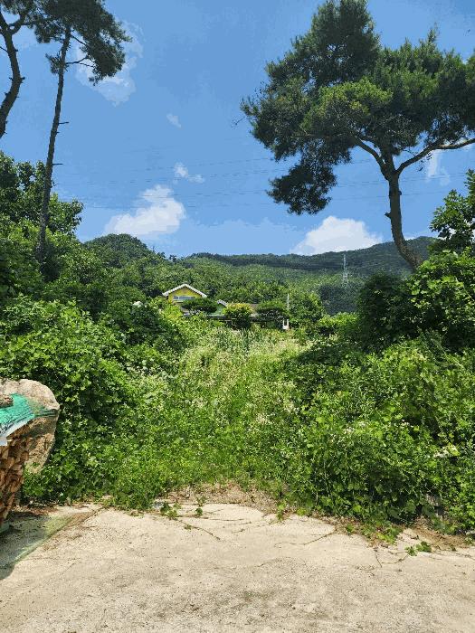 2024타경33029 법원경매 사진20 | 충북 음성군 임야 경매