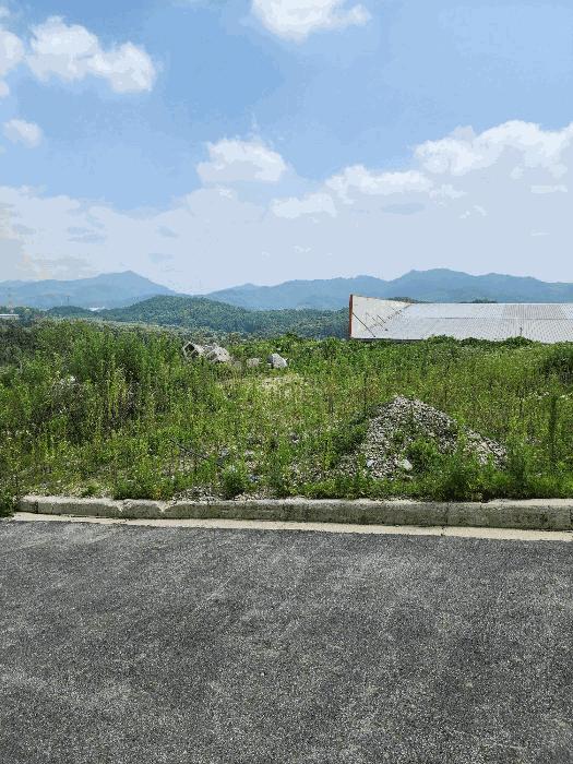 2024타경33029 법원경매 사진23 | 충북 음성군 임야 경매