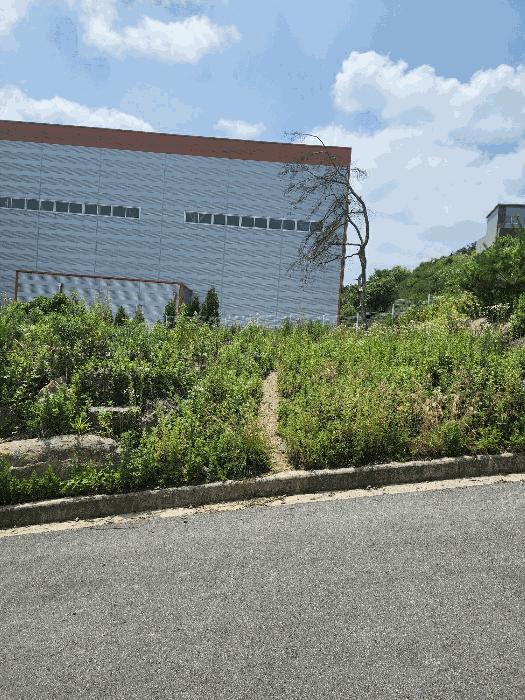 2024타경33029 법원경매 사진3 | 충북 음성군 임야 경매