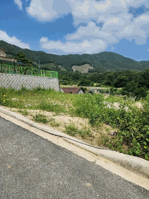 2024타경33029 법원경매 사진5 | 충북 음성군 임야 경매