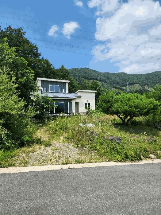 2024타경33029 법원경매 사진2 | 충북 음성군 임야 경매