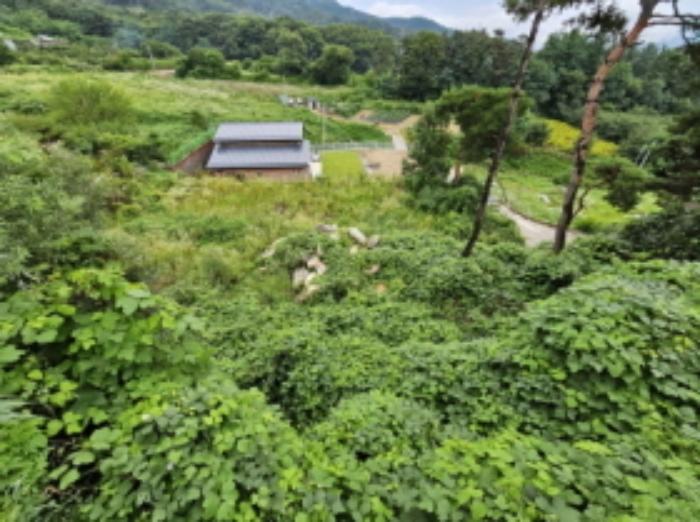 2024타경33029 법원경매 사진29 | 충북 음성군 임야 경매