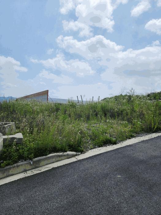 2024타경33029 법원경매 사진24 | 충북 음성군 임야 경매