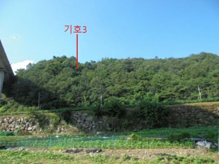 2024타경33814 법원경매 사진9 | 충북 충주시 임야 경매
