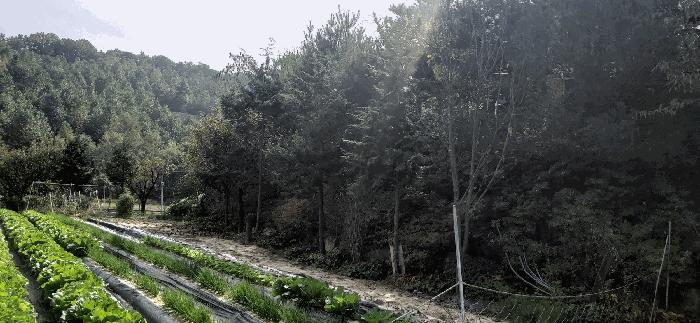 2024타경34534 법원경매 사진23 | 충북 충주시 주택건물 경매