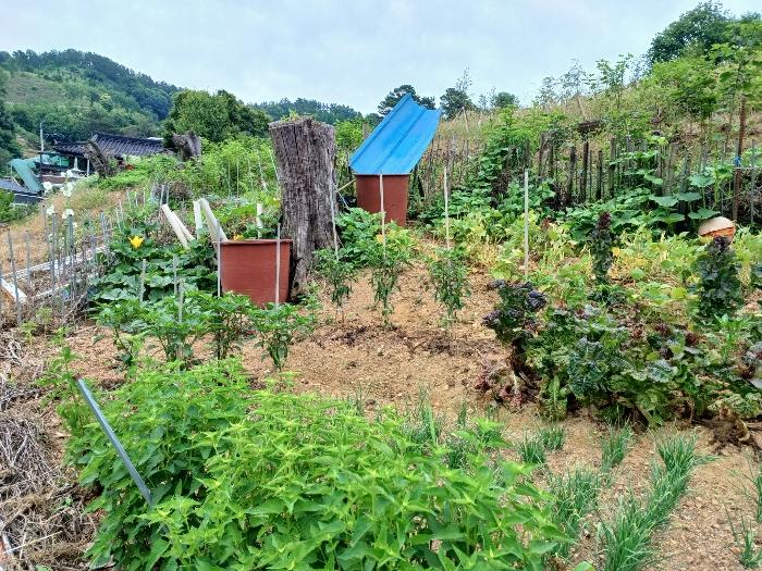 2024타경3281 법원경매 사진3 | 경남 진주시 답 경매