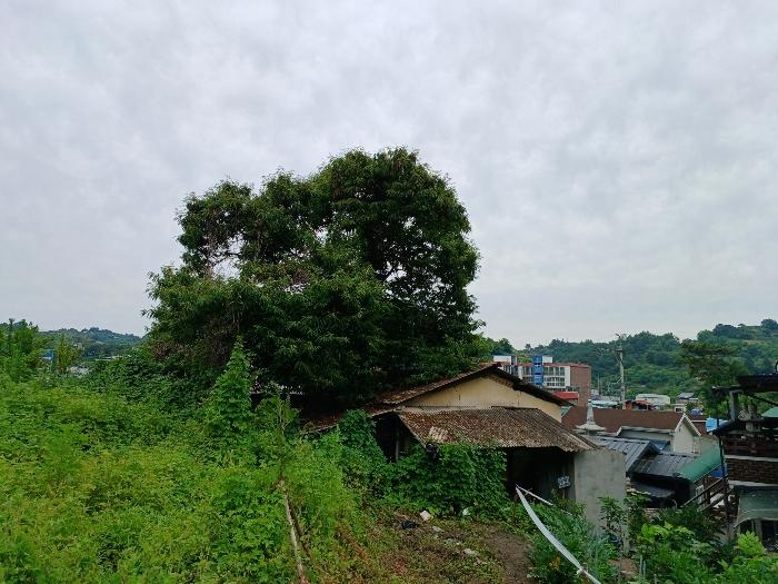 2024타경3281 법원경매 사진7 | 경남 진주시 답 경매