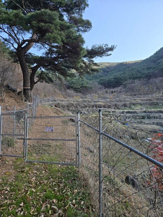 2024타경6495 법원경매 사진2 | 경남 산청군 임야 경매