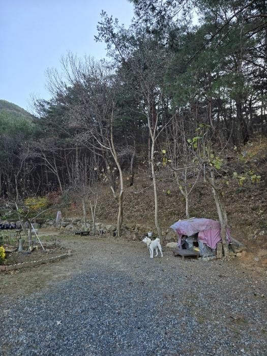 2024타경6495 법원경매 사진5 | 경남 산청군 임야 경매
