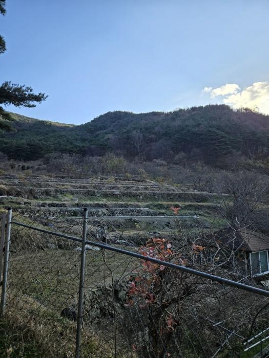 2024타경6495 법원경매 사진7 | 경남 산청군 임야 경매