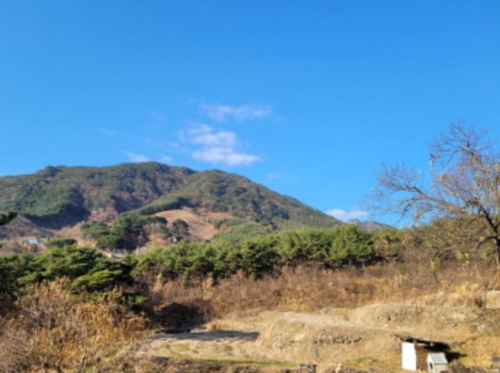 2024타경6495 법원경매 사진9 | 경남 산청군 임야 경매