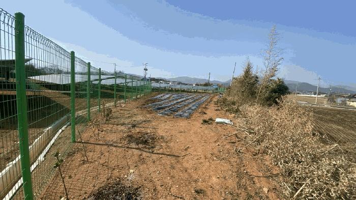 2025타경50923 법원경매 사진2 | 전남 함평군 대지 경매