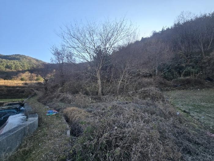 2024타경40525 법원경매 사진2 | 경남 남해군 전 경매