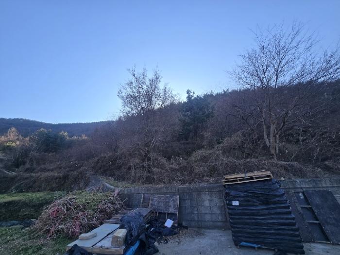 2024타경40525 법원경매 사진3 | 경남 남해군 전 경매