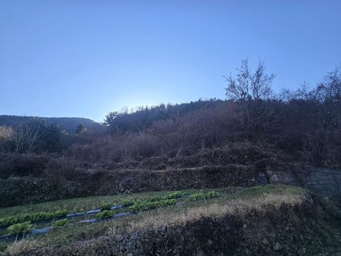 2024타경40525 법원경매 사진4 | 경남 남해군 전 경매