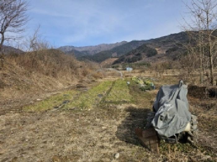 2025타경133 법원경매 사진3 | 전남 구례군 답 경매