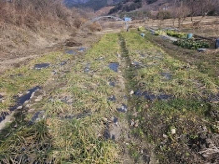 2025타경133 법원경매 사진4 | 전남 구례군 답 경매
