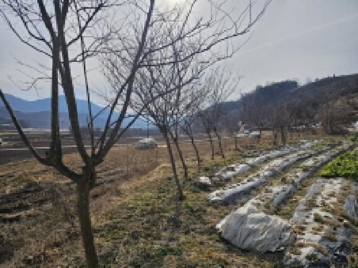 2025타경133 법원경매 사진7 | 전남 구례군 답 경매