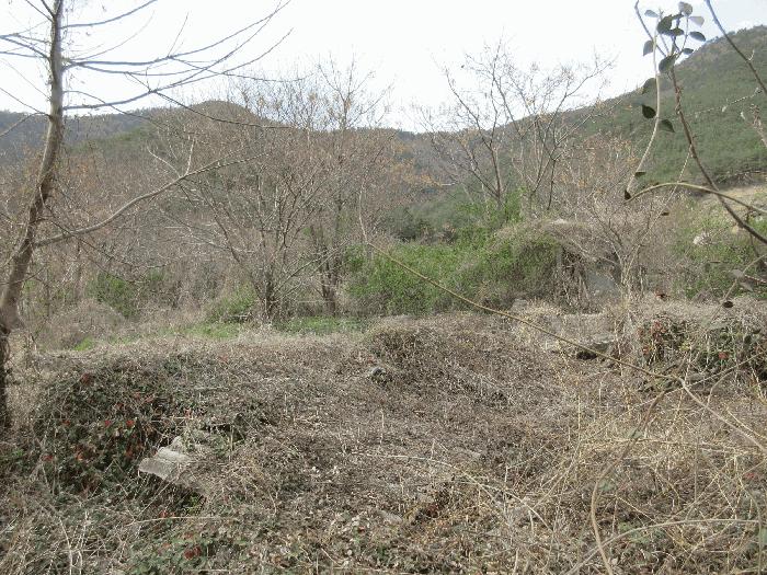 법원경매 2025타경51223 사진3 | 고흥군 점암면 천학리 519 주택건물 경매