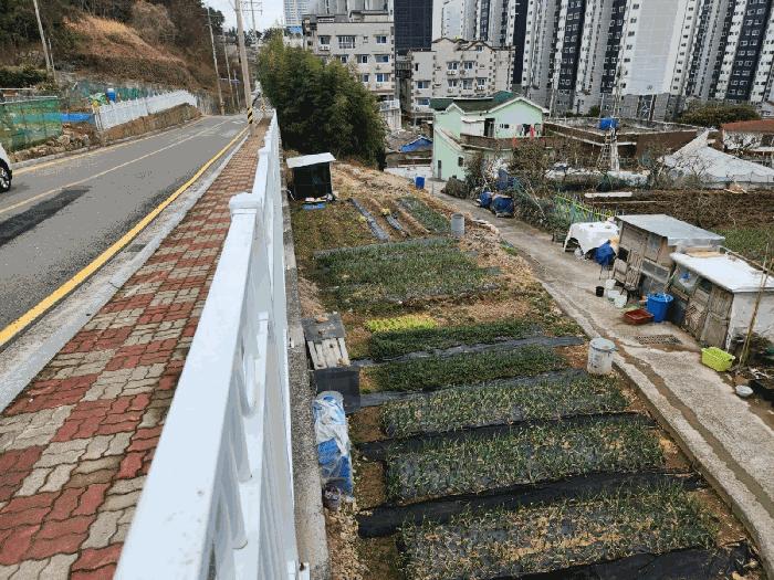 2025타경21025 법원경매 사진3 | 경남 거제시 전 경매