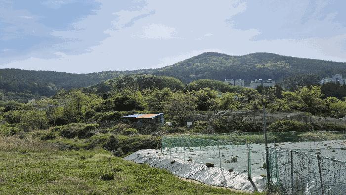 2025타경21275 법원경매 사진3 | 경남 거제시 전 경매