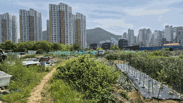 2025타경21324 법원경매 사진2 | 경남 거제시 답 경매