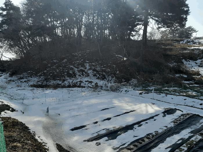 충청남도 당진시 송악읍 복운리 154-155 법원경매 물건 대표사진
