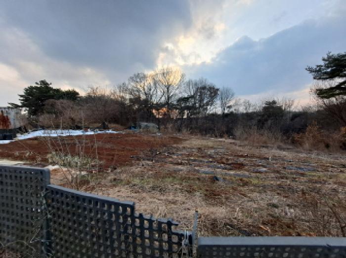 법원경매 2025타경50112 사진15 | 당진시 송악읍 복운리 154-155 임야 경매