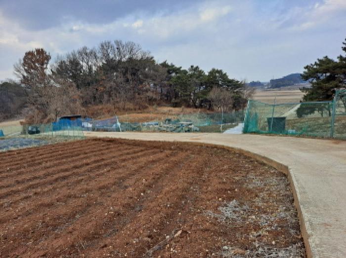법원경매 2025타경50112 사진23 | 당진시 송악읍 복운리 154-155 임야 경매