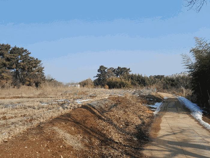 법원경매 2025타경50112 사진3 | 당진시 송악읍 복운리 154-155 임야 경매