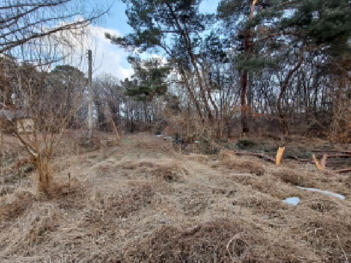 법원경매 2025타경50112 사진38 | 당진시 송악읍 복운리 154-155 임야 경매