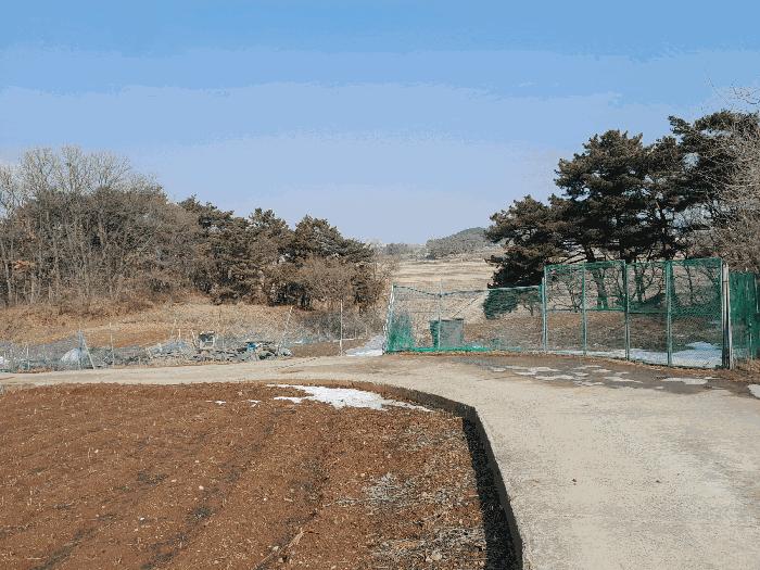 법원경매 2025타경50112 사진7 | 당진시 송악읍 복운리 154-155 임야 경매