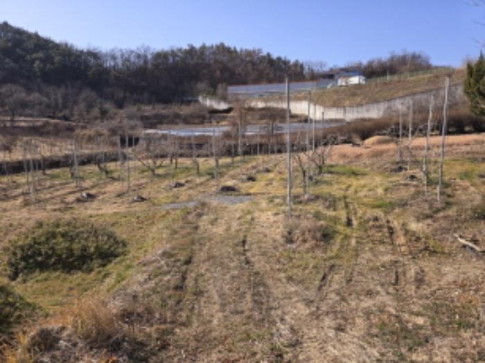 법원경매 2024타경128297 사진22 | 영천시 화남면 전 경매
