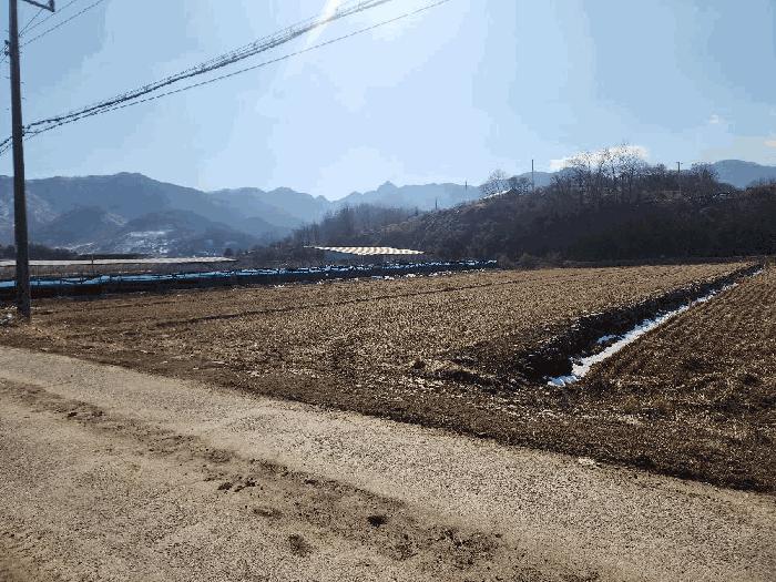 2025타경665 법원경매 사진2 | 충북 괴산군 전 경매