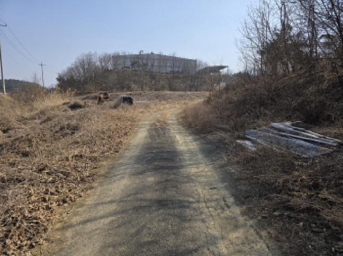 법원경매 2025타경525 사진3 | 영천시 북안면 신리리 임야 경매