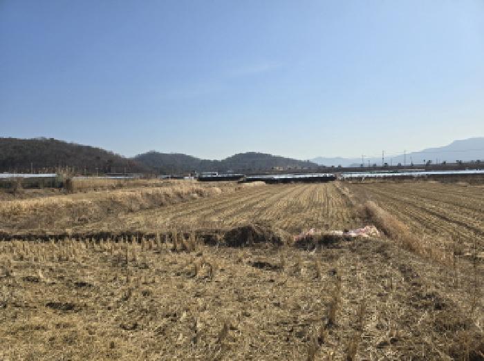 법원경매 2025타경6172 사진3 | 영천시 금호읍 신월리 653 답 경매