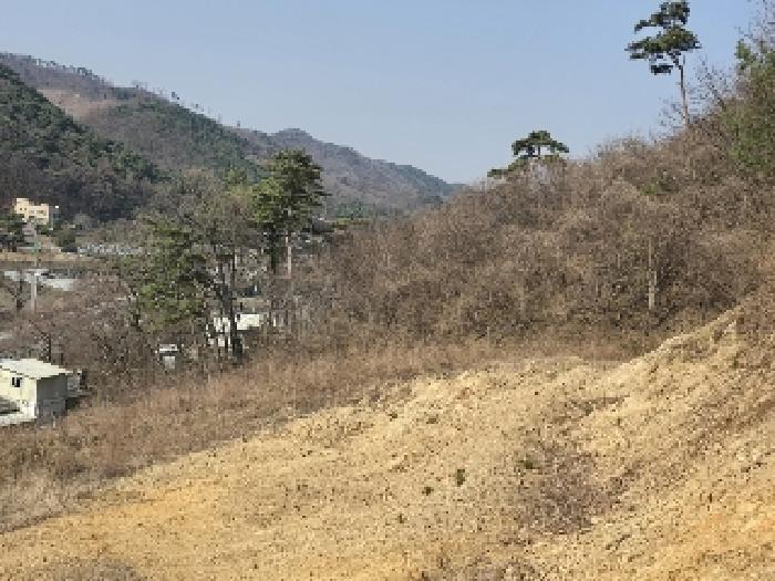 2025타경51060 법원경매 사진3 | 청주 상당구 임야 경매