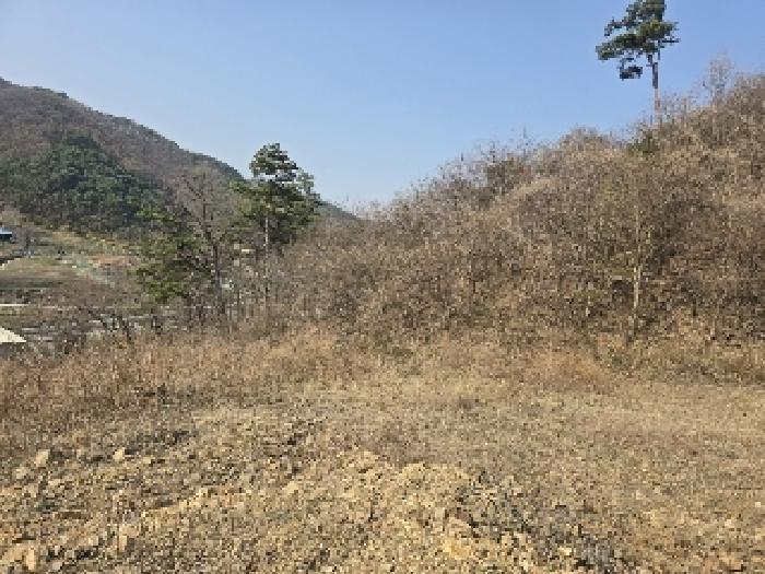 2025타경51060 법원경매 사진4 | 청주 상당구 임야 경매