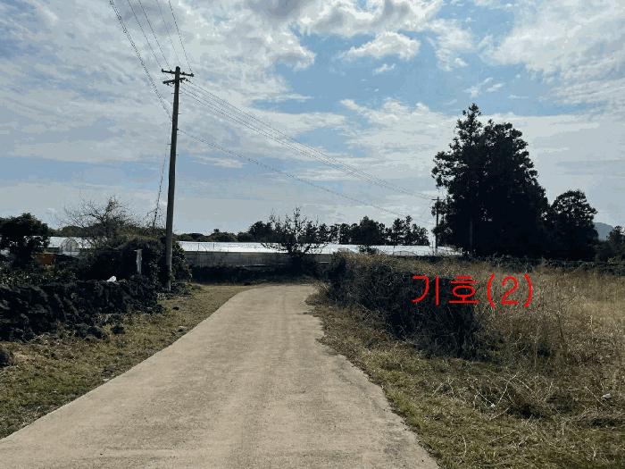 2025타경459 법원경매 사진4 | 제주 서귀포시 임야 경매