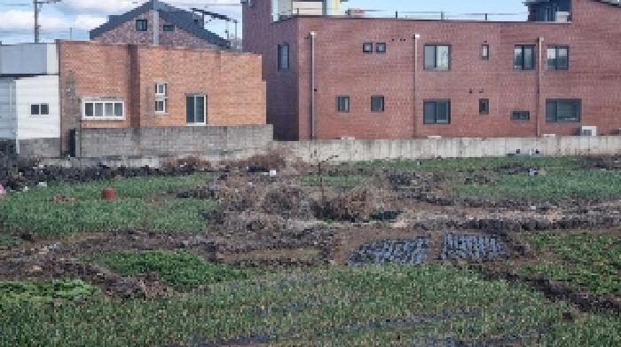 2025타경459 법원경매 사진7 | 제주 서귀포시 임야 경매