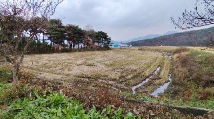2024타경21429 법원경매 사진10 | 충남 보령시 전 경매