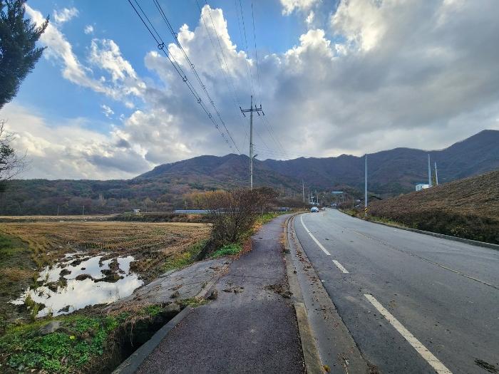2024타경21429 법원경매 사진3 | 충남 보령시 전 경매