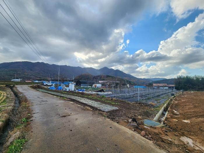2024타경21429 법원경매 사진5 | 충남 보령시 전 경매