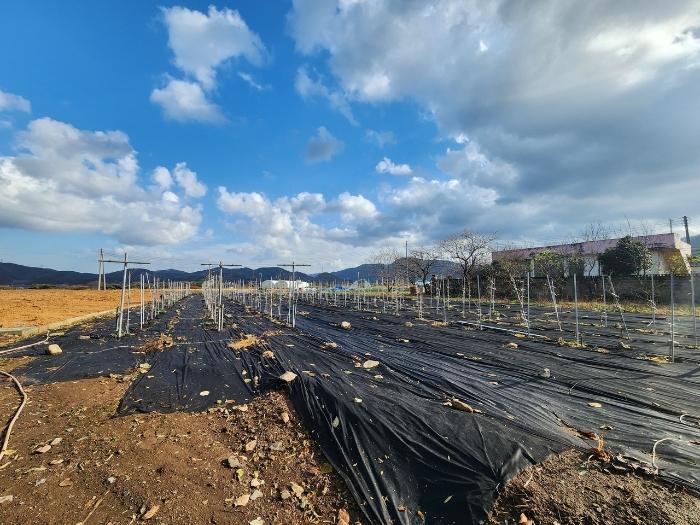 2024타경21429 법원경매 사진8 | 충남 보령시 전 경매