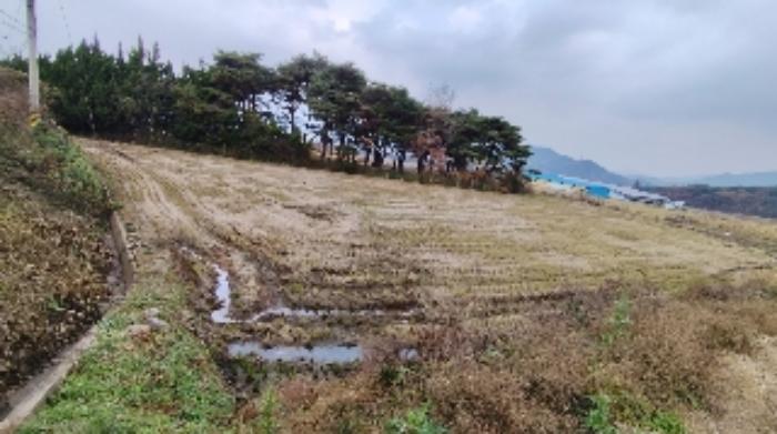 2024타경21429 법원경매 사진9 | 충남 보령시 전 경매