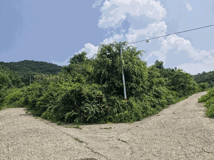 2025타경32892 법원경매 사진7 | 전남 화순군 임야 경매