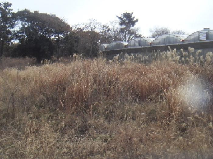 2024타경36765 법원경매 사진14 | 제주 서귀포시 창고 경매