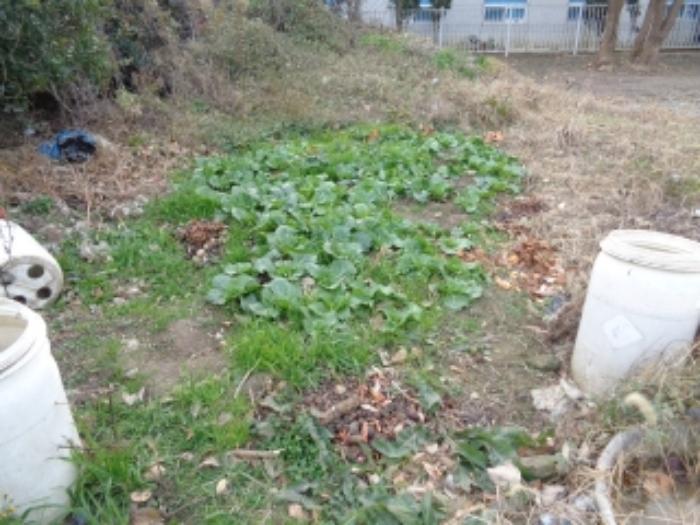 2024타경37386 법원경매 사진9 | 제주 제주시 대지 경매